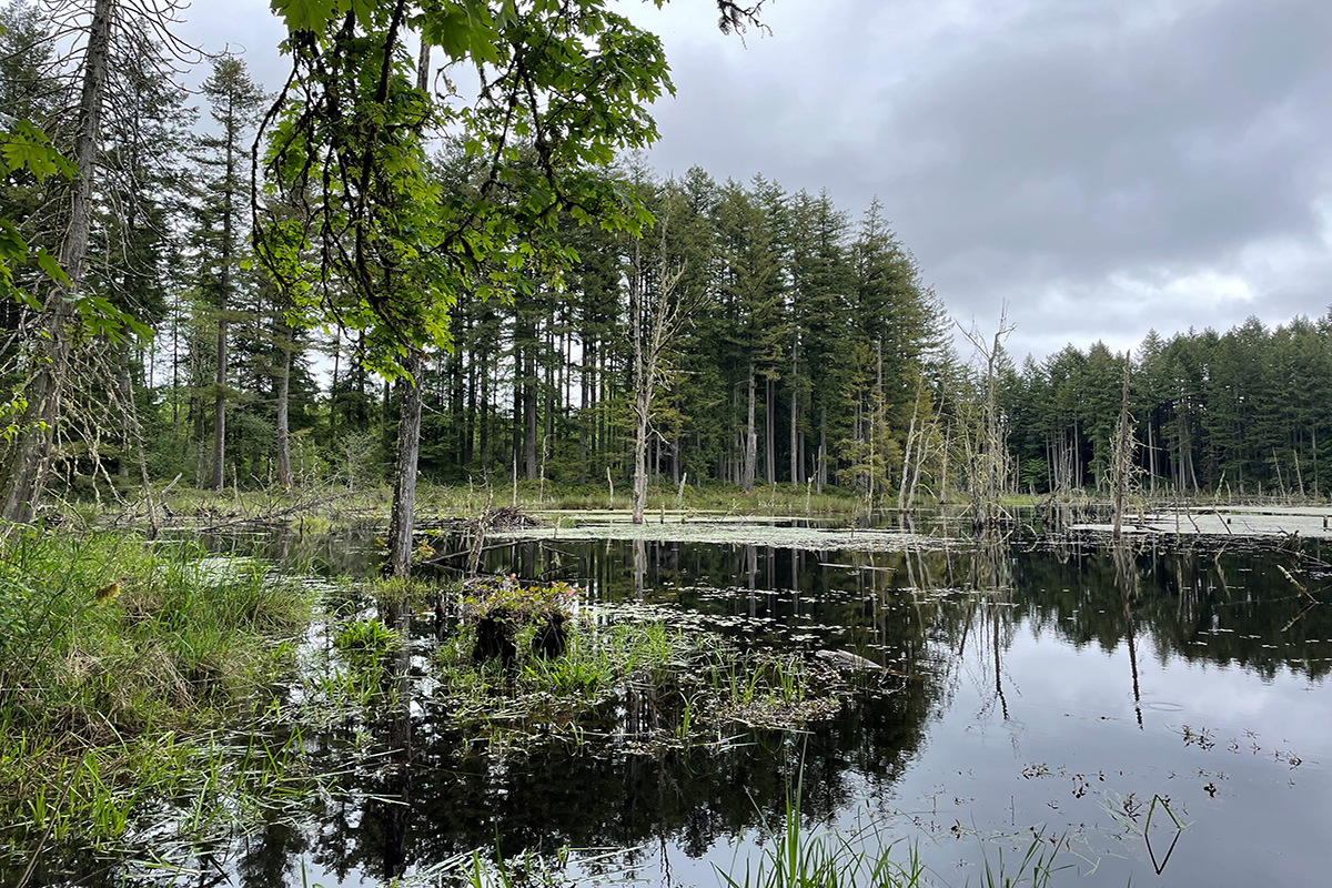The Fund Purchases Ranch in Tenino, Washington