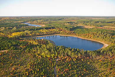 Brule-St. Croix Legacy Forest