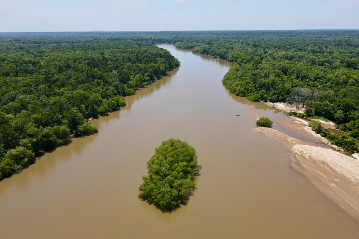Brown river stretching through green trees with a small tree island in the middle