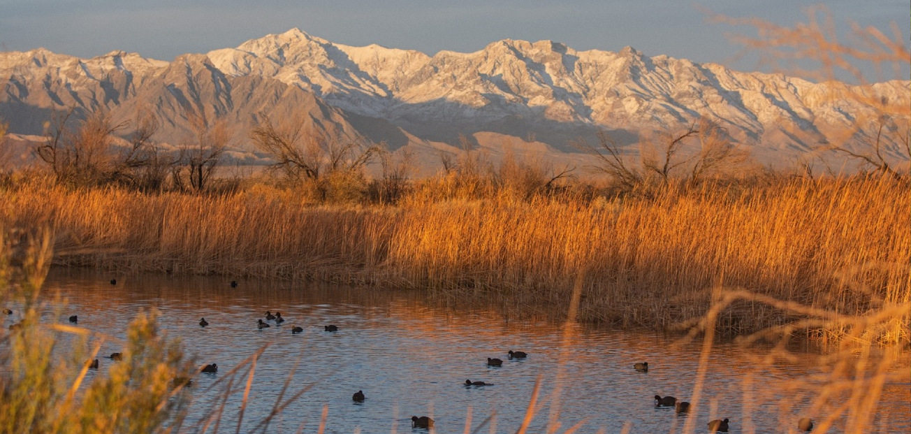 The Conservation Fund has protected a critical property that will be added to Nevada’s Ash Meadows National Wildlife Refuge