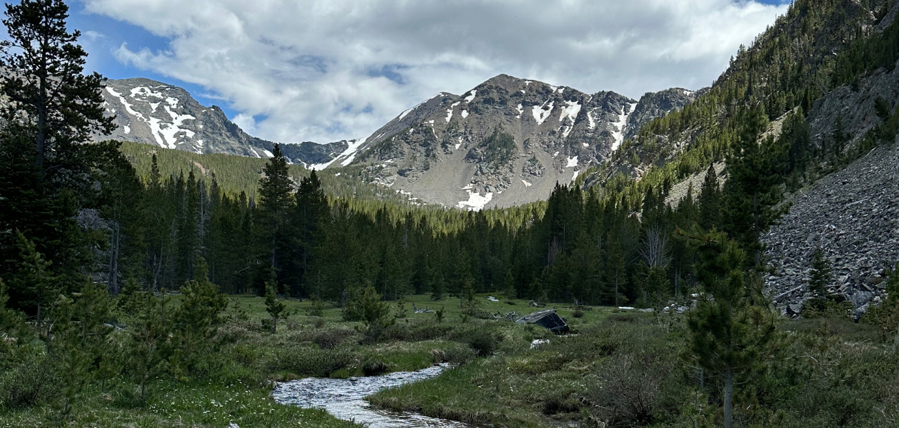 In partnership with the U.S. Forest Service, we’ve added nearly 600 acres to the Beaverhead-Deerlodge National Forest