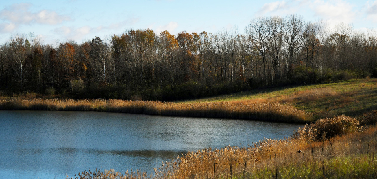 A pond at Busseron Creek Fish & Wildlife Area in Indiana