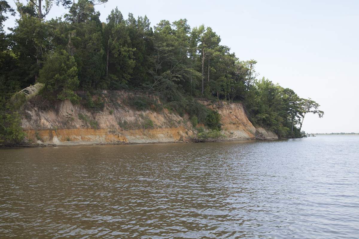 An image of Blakeley Bluff overlooking the Tensaw River