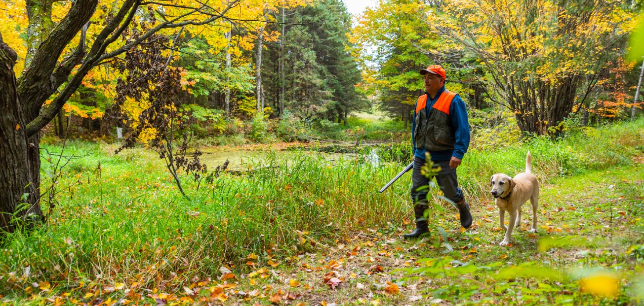A man walks with his dog through a wooded area in Minnesota's Mississippi River headwaters.