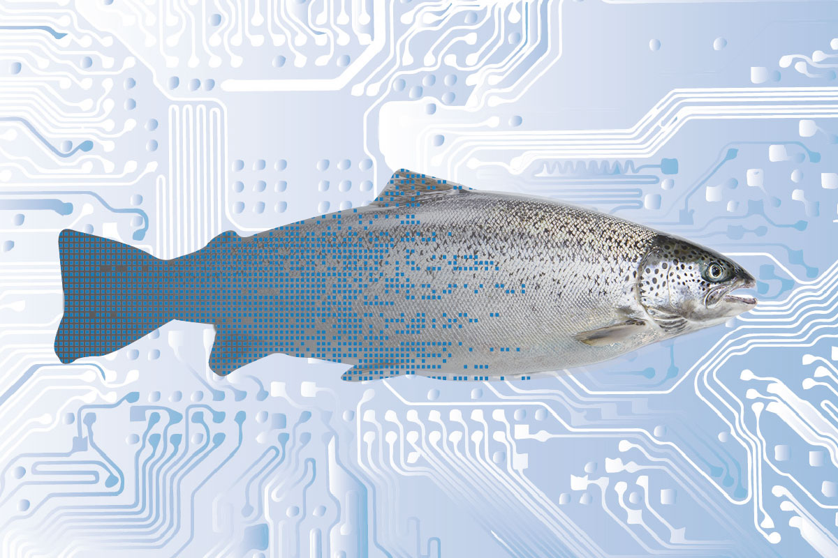 A poster of a fish sitting in the middle of a blue technology background.