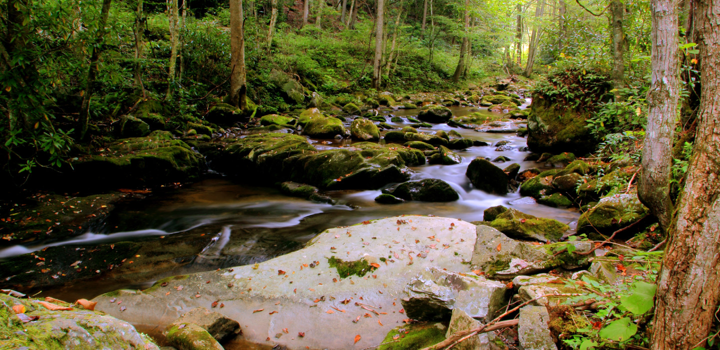 Water slowly flows between rocks down a stream in Cherokee National Forest