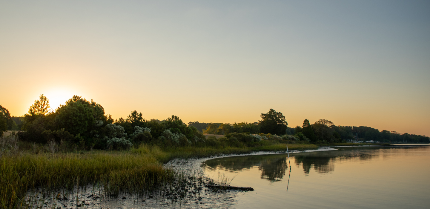 The sun sets behind trees close to a small body of water on a clear evening