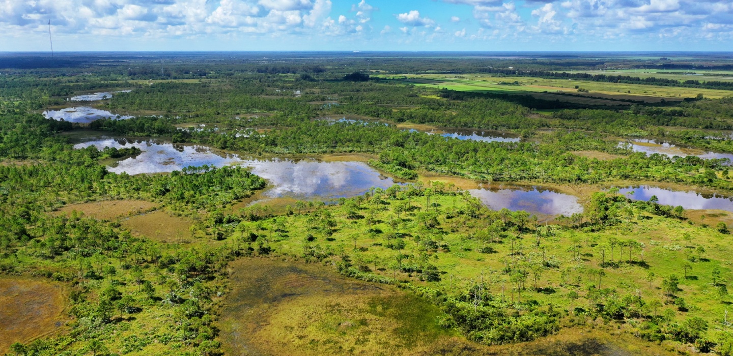 An aerial image of the Loxa Luxie project with green shrubbery and bright blue water on a cloudy day
