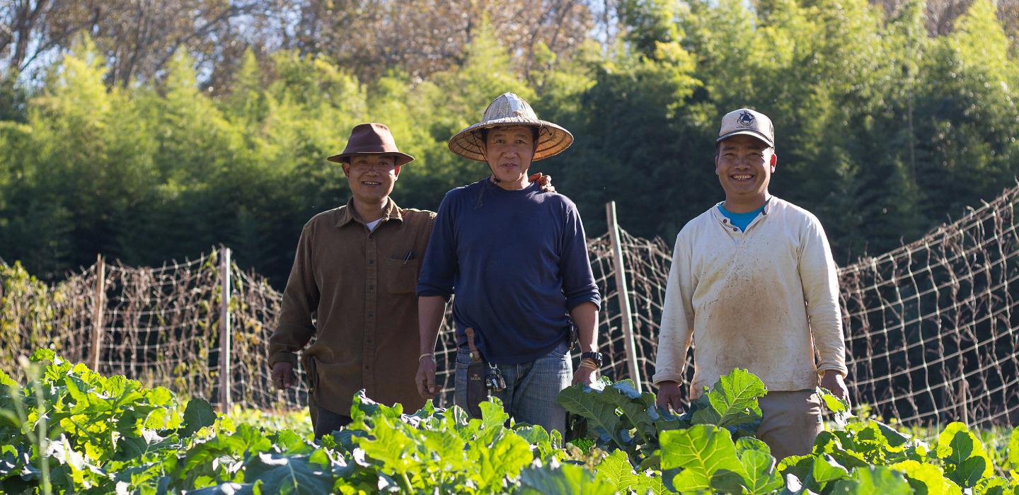 Three man pose on a farm with a fence and trees behind them