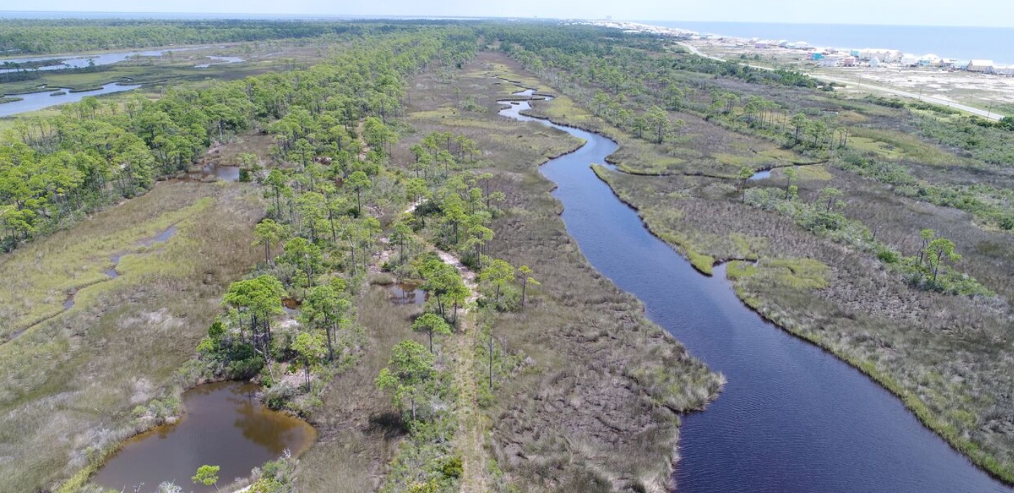 An aerial photograph of Bon Secour National Wildlife Refuge with a thin river running through marshlands