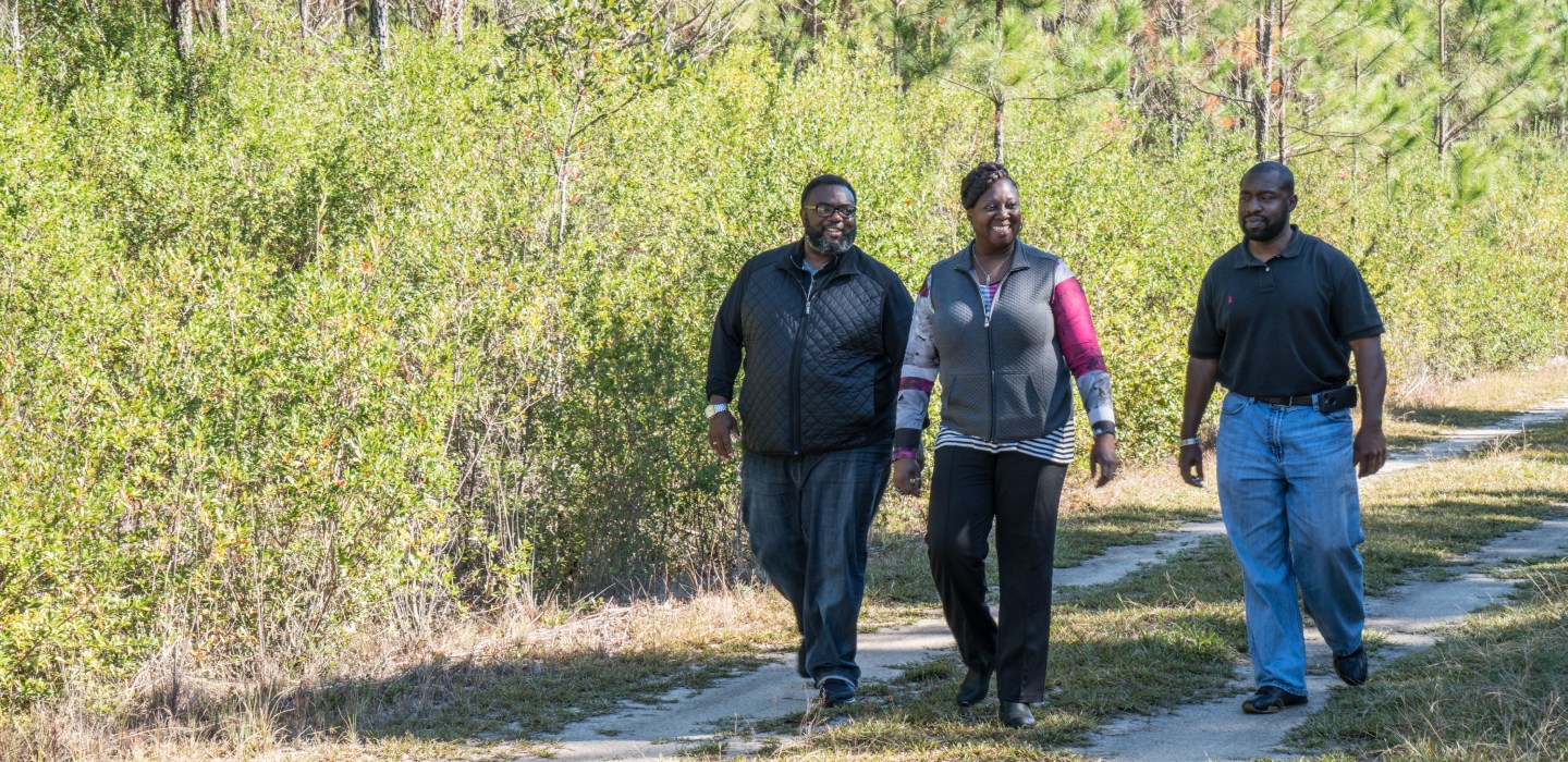 Three people walk along a path through a forest of trees.