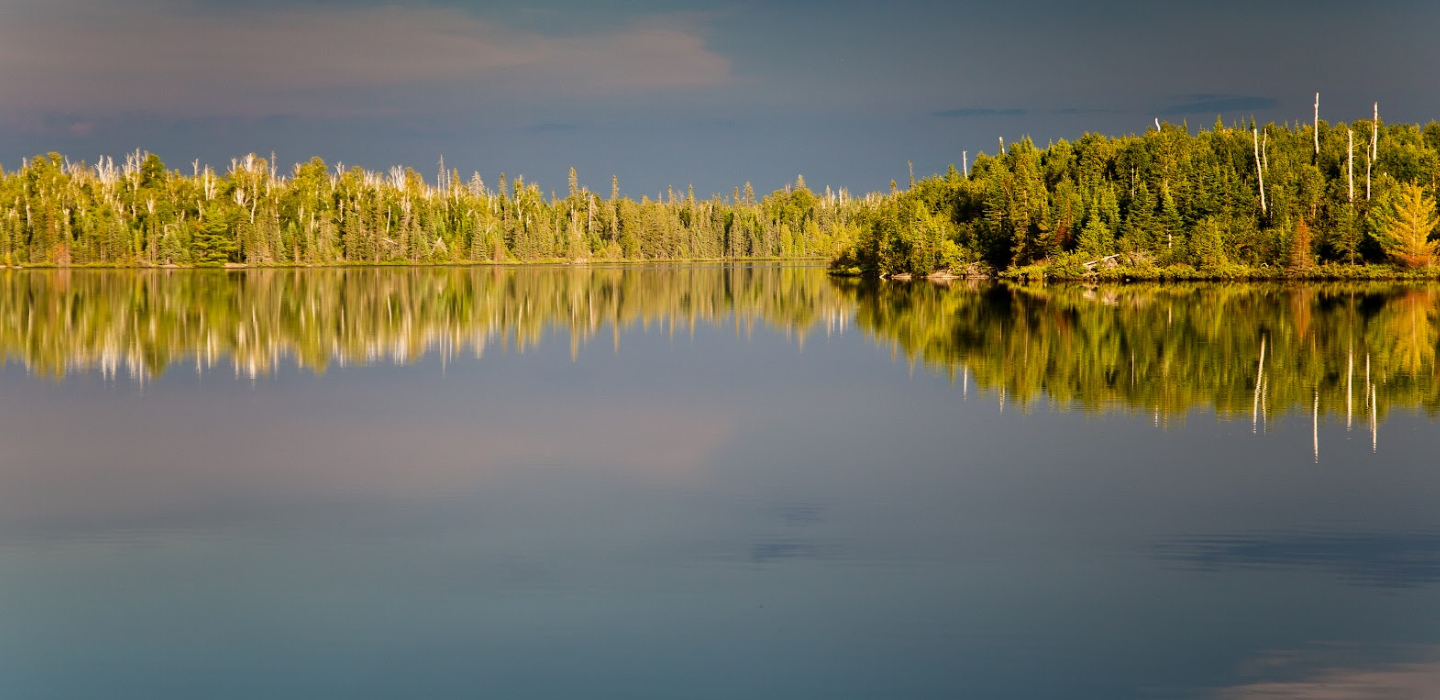 Green trees see their reflection in a body of water at Boundary Waters Wilderness