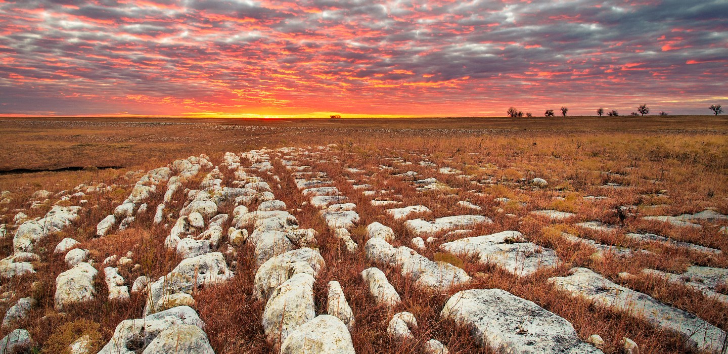A farm in Kansas sits in the foreground with a pink sunset in the background.