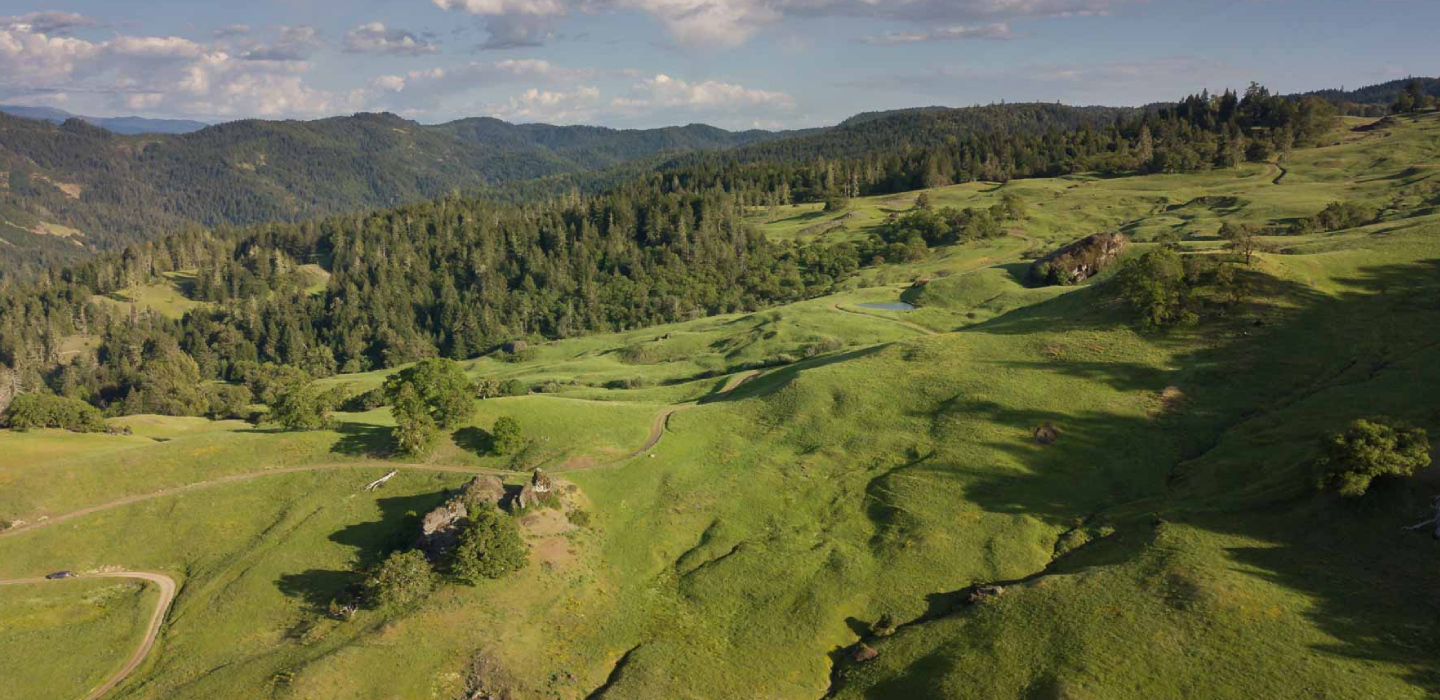 Green grass and trees adorn the rolling hills and mountains of Lone Pine Ranch