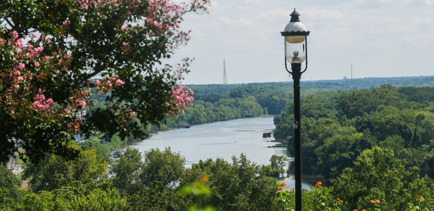 A view through a tree of the Richmond riverfront in Virginia