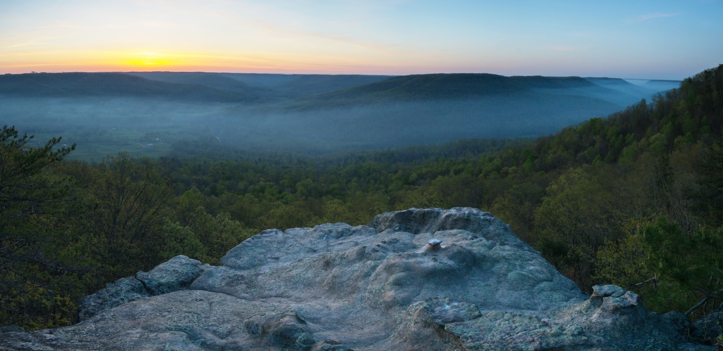 Light fog sits atop deep, green trees during a sunset at Skinner Forest