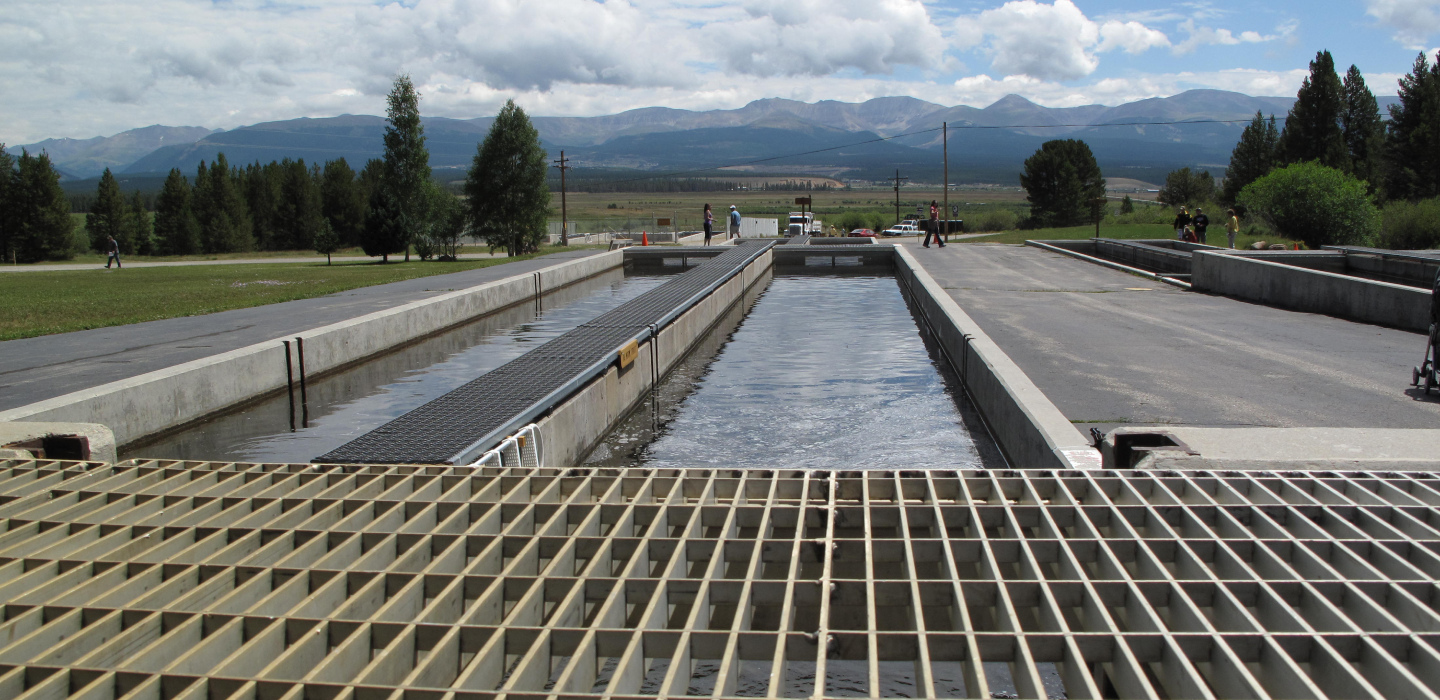 A modern fish hatchery