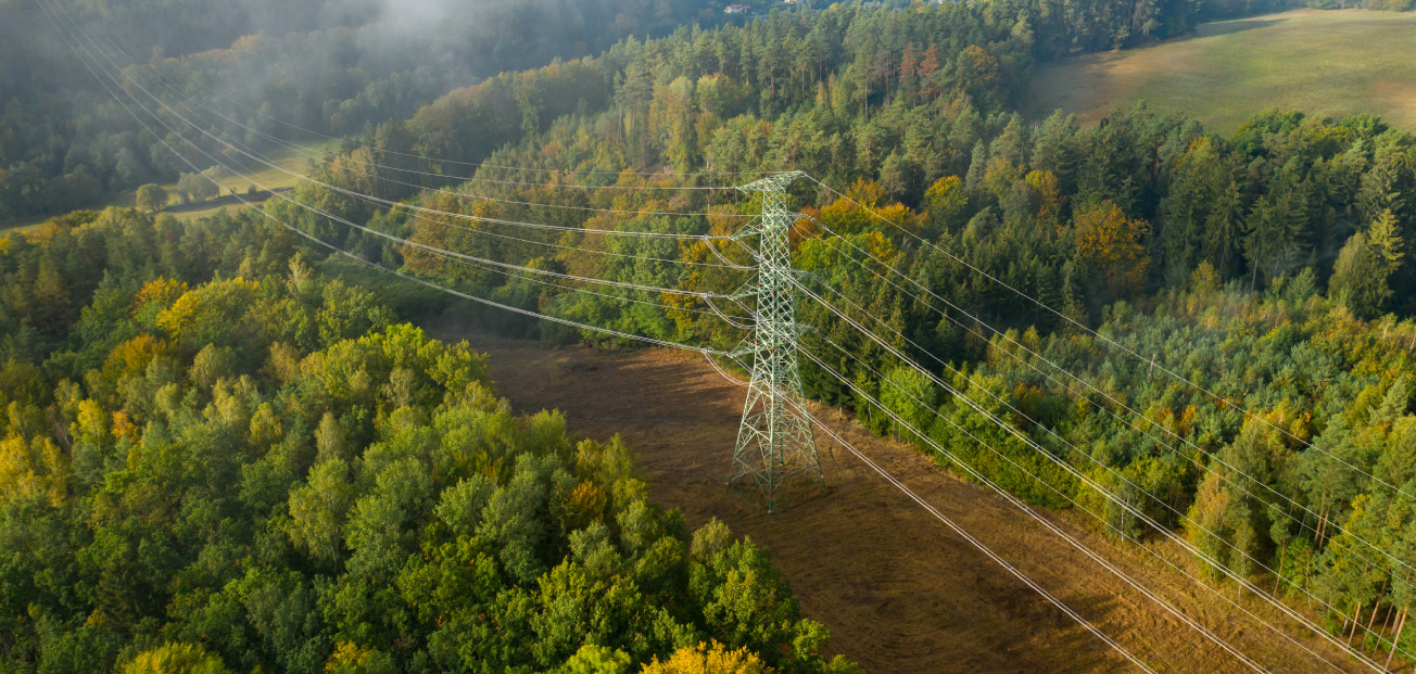 Learn how we combine regulatory requirements and on-the-ground conservation.