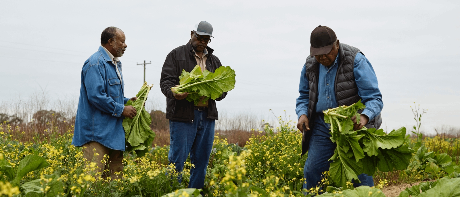 Partnering with Apple to Support Black Landowners in the South