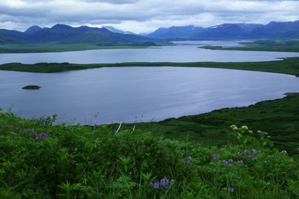 Alaska:Izembek National Wildlife Refuge