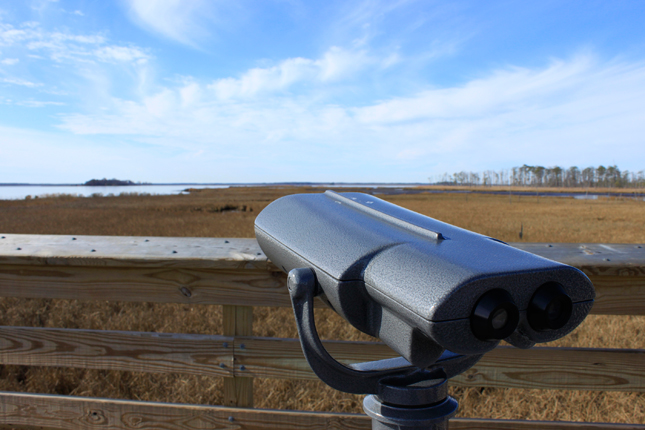 180,000 visitors come to Blackwater every year, many of them birdwatchers