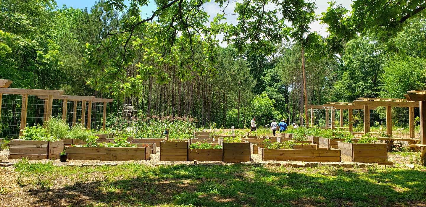 A snapshot of the outside of the Urban Food Forest at Browns Mill