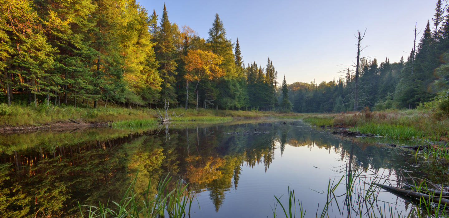 Colorful trees reflect against the clear water of Three Rivers
