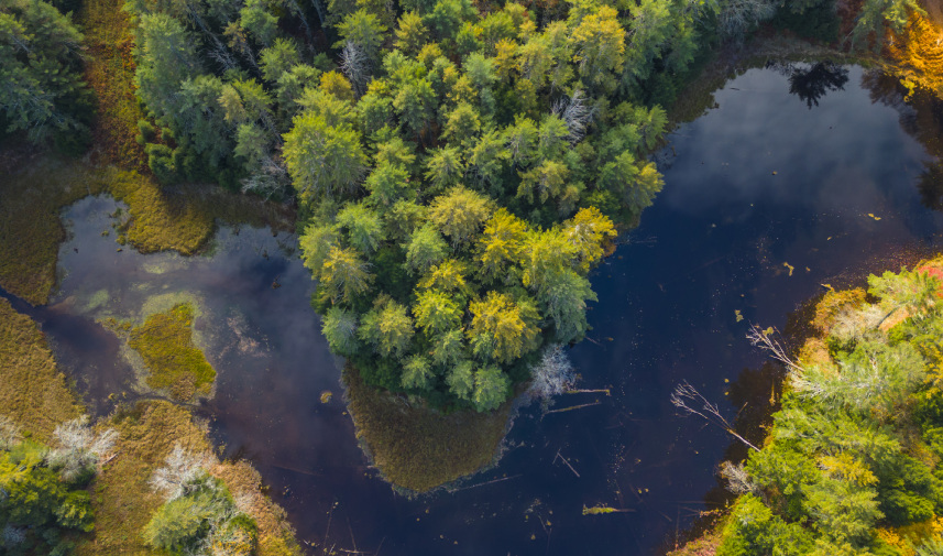 An aerial photograph of Ten Mile River Forest showcasing the river winding through trees