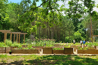 Urban Food Forest at Browns Mill