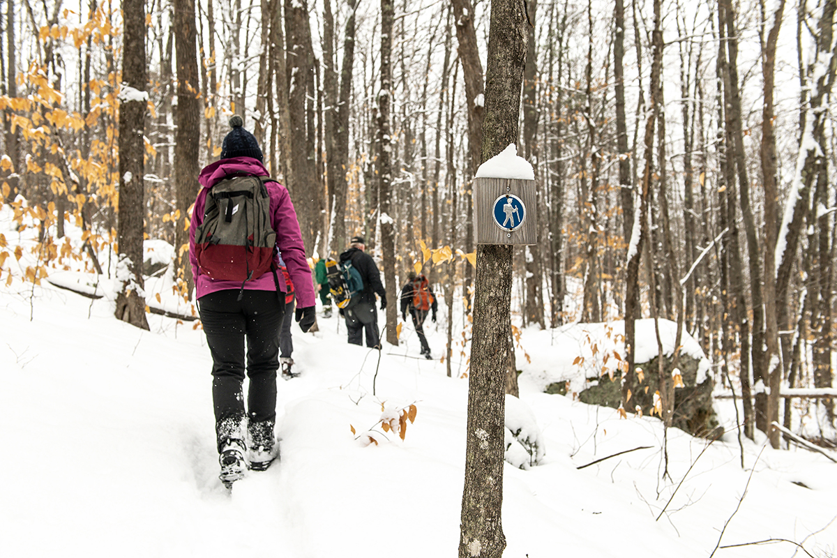 A woman in a purple coat hikes through the snowy woods in Maine. A mile marker shows she's on the right trail. There are people hiking ahead of her.