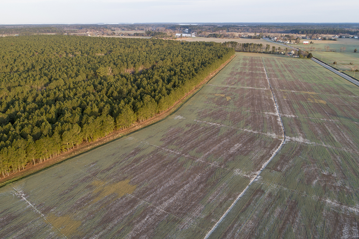 Drone footage shows a birds eye view of flat agricultural land on Maryland's eastern shore. The left side of the view is wooded, while the right side is agricultural fields.