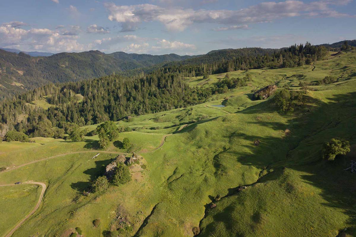 Rolling green hills in the foreground meet forested mountains in the background.