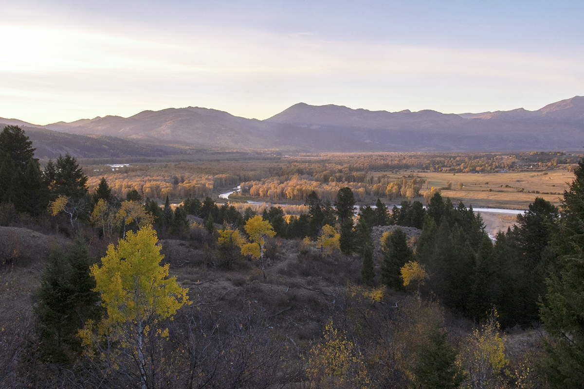 The Munger Mountain range lays in the background while a thin river and abundant trees take up the foreground.
