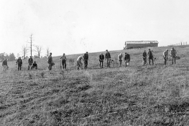 Tree planting at Boggy Slough  Tree planting in 1950. Photo by The History Center.