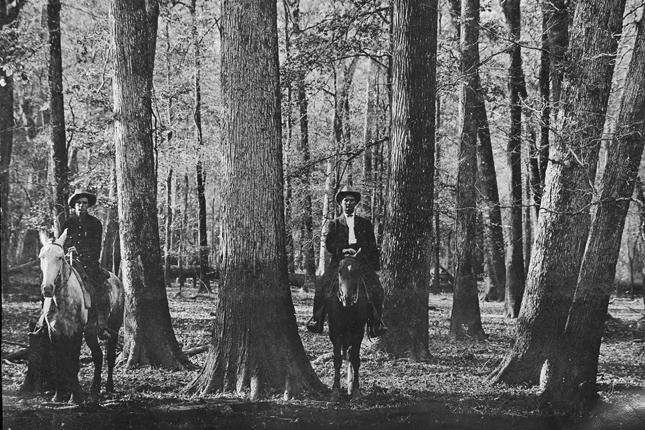 Timber riders  Timber riders in the hardwood forests of Trinity County, Texas. This area later became known as Boggy Slough. Photo by The History Center.