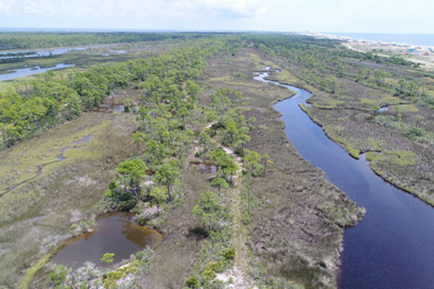 Aerial view of the rivers at Bon Secour refuge that flow into the Gulf of Mexico.