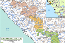 More than a decade ago, the Fund set out to reassemble what was once a single forested property stretching nearly 30 miles along the rugged North Coast range. Over time, this land was divided and sold into multiple parcels, including Preservation Ranch, now known as Buckeye Forest. As some of the final land to be restored to the original 30-mile tract, the protection of this land marks a significant moment in Northern California forest conservation.