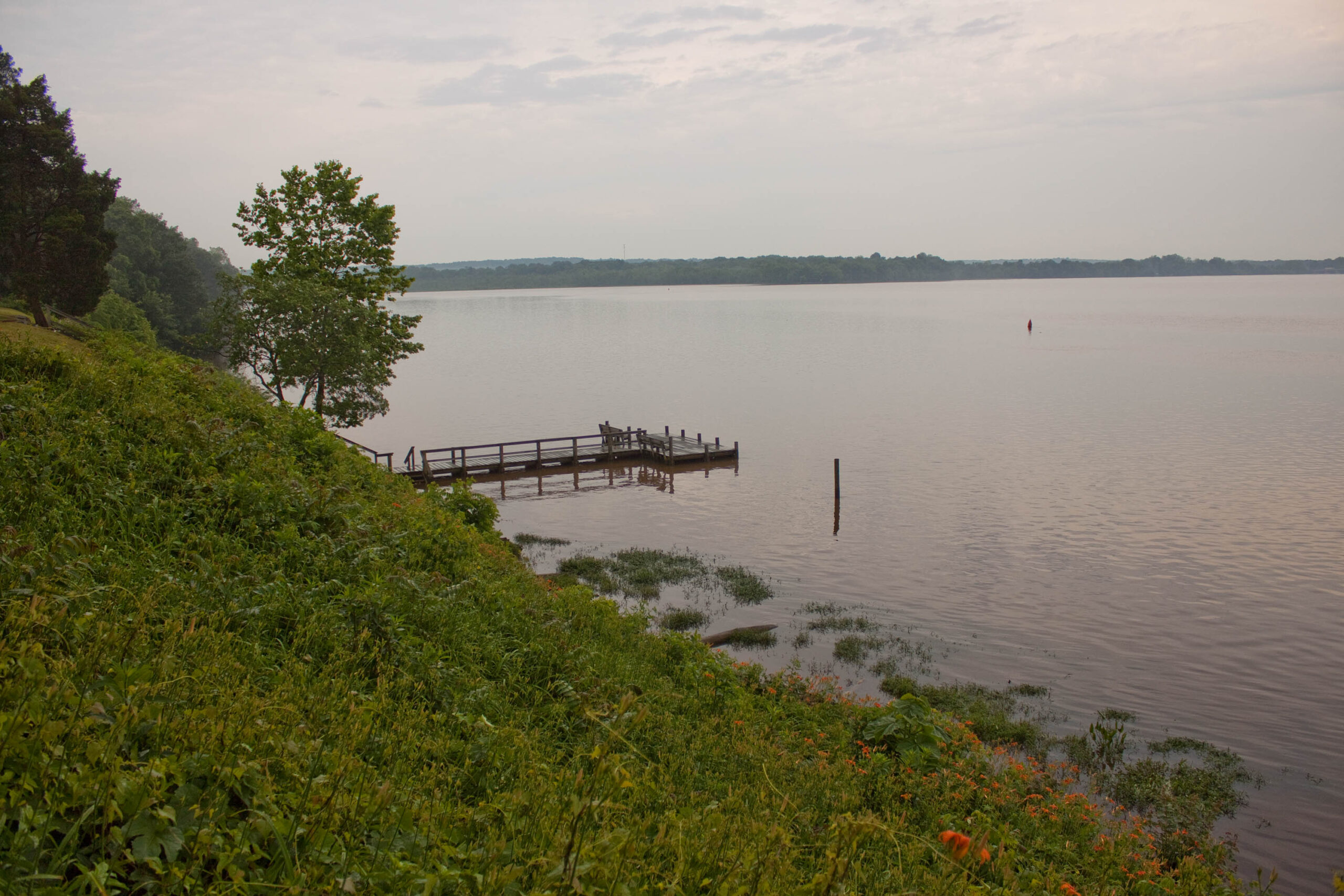 A hillside makes it was into a body of water with a small dock on the Rappahannock River