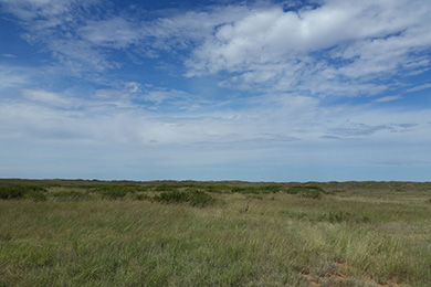 An arid and empty field of grassland meets a cloudy blue sky.