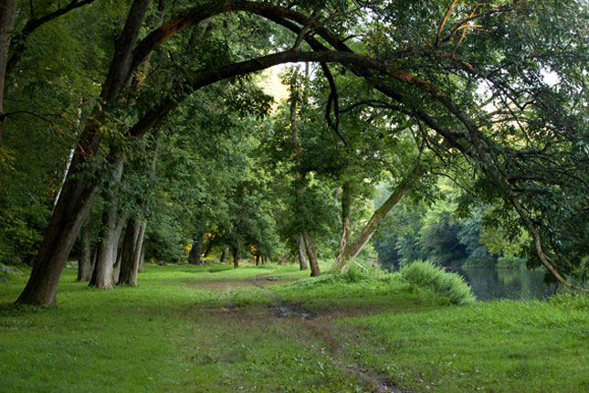 Path Along Brandywine River Photo by Whitney Flanagan/The Conservation Fund.  The Woodlawn property is located three miles north of Wilmington, along the Brandywine River in New Castle County, Delaware and Delaware County, Pennsylvania.