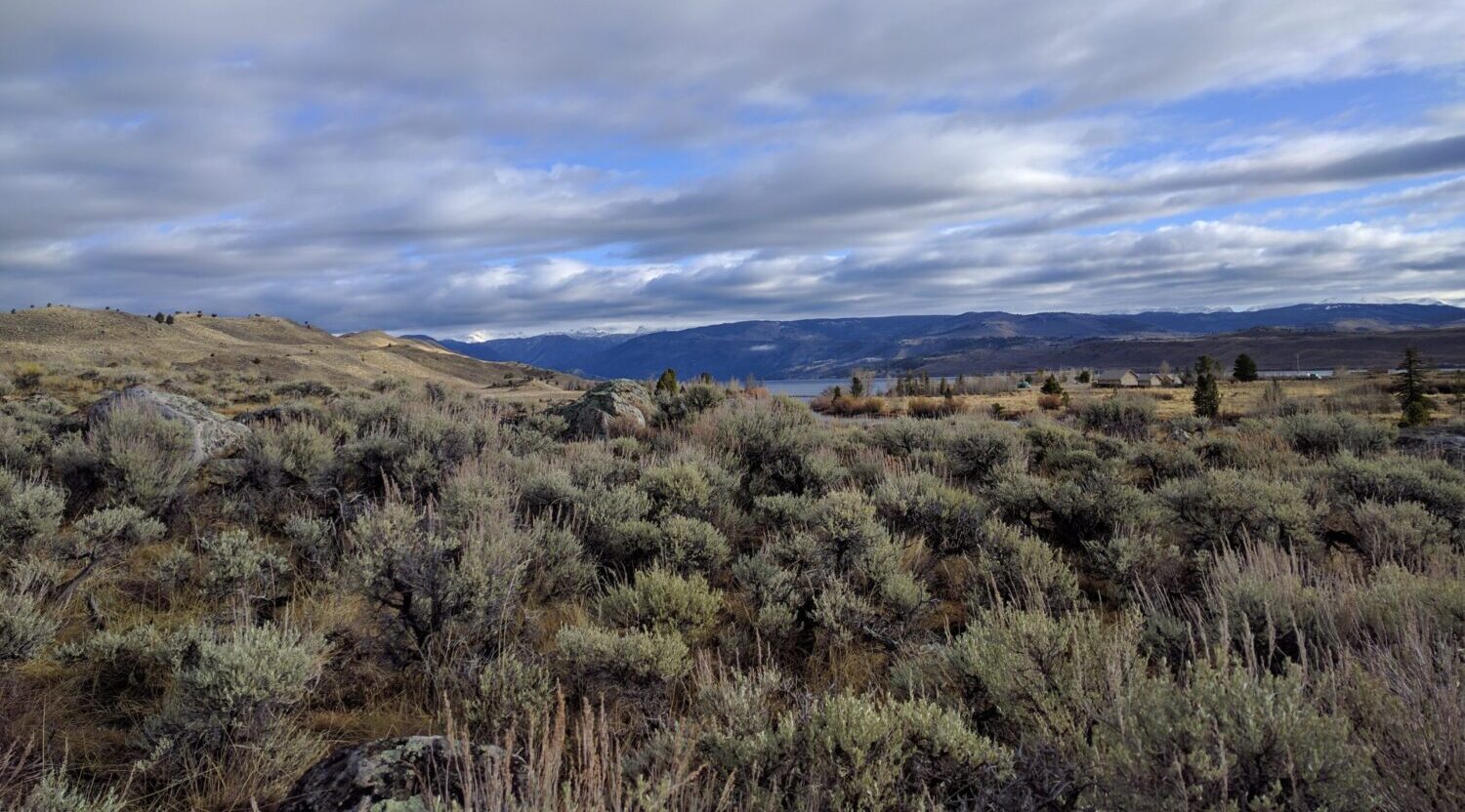 Shrubbery in the foreground with a cloudy sky at Fremont Lake