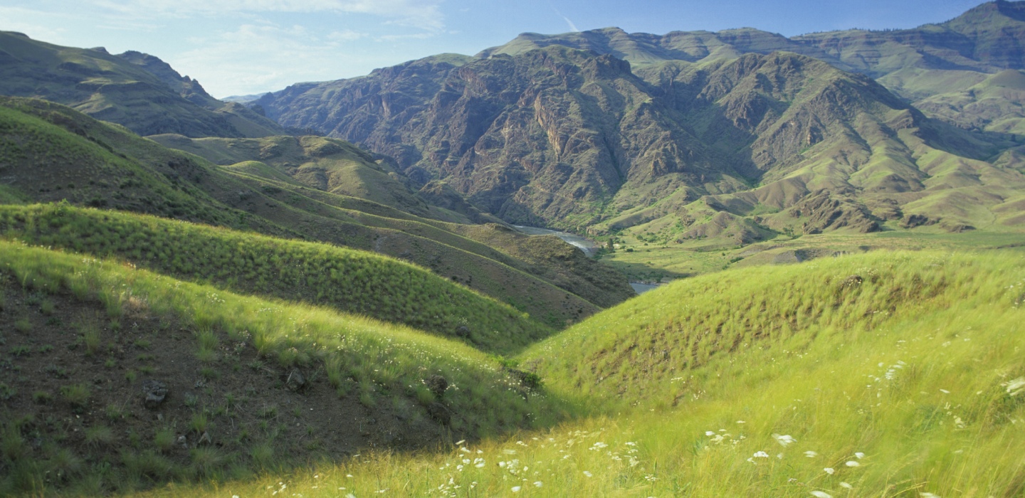 Rolling green hills come together at the base of moutains