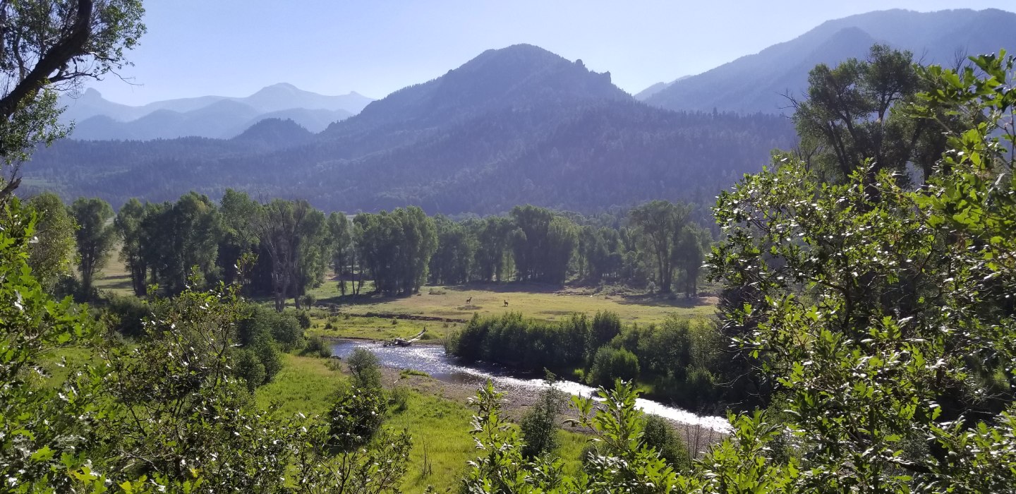 Green grasses run next to the Navajo River with blue mountains in the background