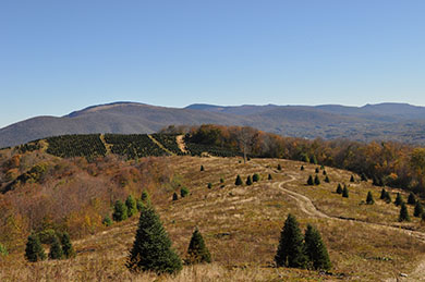 Brown grass in the foreground is met with brown rolling hills in the background at Cherokee National Forest.
