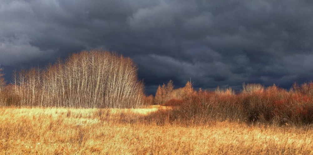 Approaching thunderstorm at Sax-Zim Bog  Photo by Sparky Stensaas