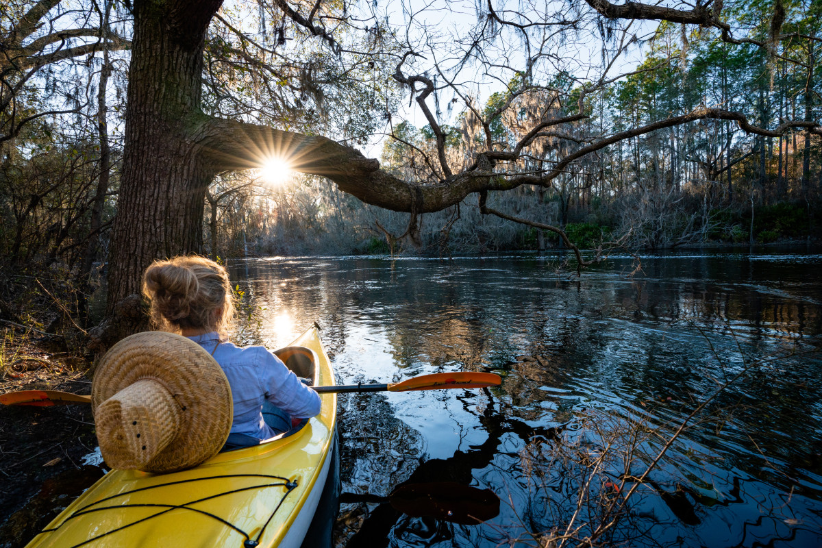 Suwannee River Woodlands at Osceola National Forest – Florida