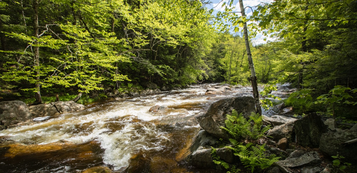 The Beebe River rushes beside green trees in New Hampshire
