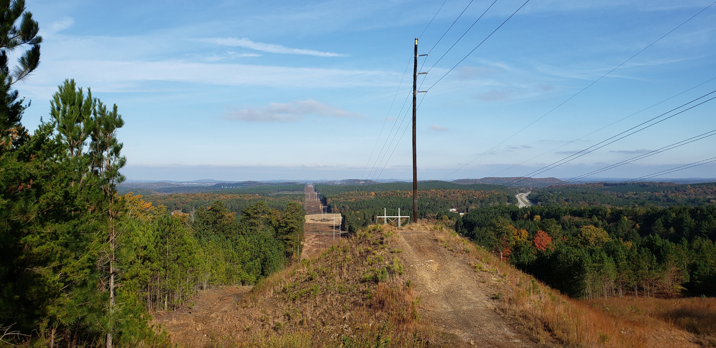 Power lines are seen running through Stateline Forest on a fall day