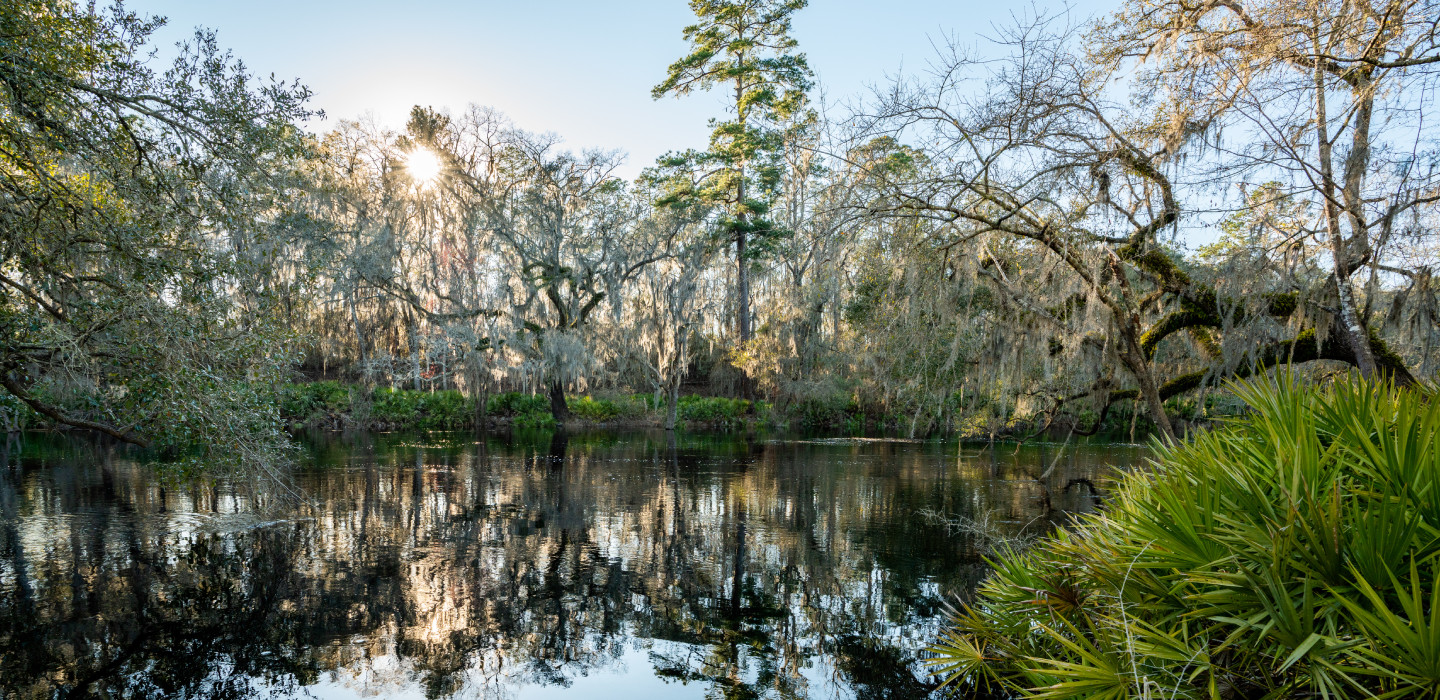 The sun sets behinds green trees on the Suwannee River in Florida