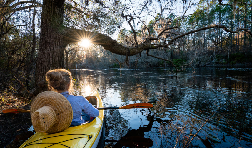 A man kayaks the Suwannee River while the sun shines beneath a tree limb